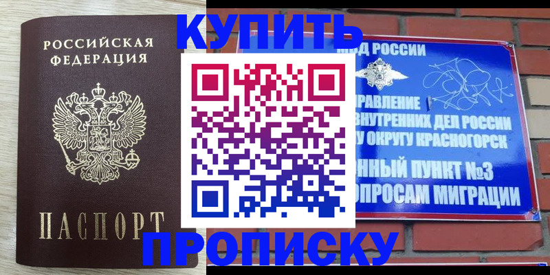 прописка гарантия в Новгородской области